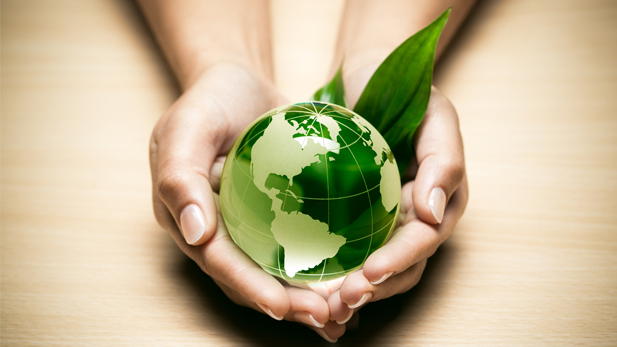 ISO 14001 : Les 5 points clés que l'auditeur vérifie en priorité